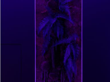 Rəngli skript