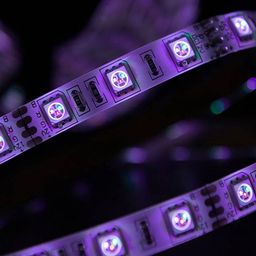 SMD5050 RGB LED lent, bənövşəyi işıq saçması — yaxından görünüş