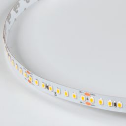SMD-2835 LED lent, isti ağ işıq növü, DSG2160-24-WW-33