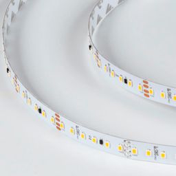 LED lent PRO 2835, isti ağ, SWG2P120-CC-24-9.6-WW