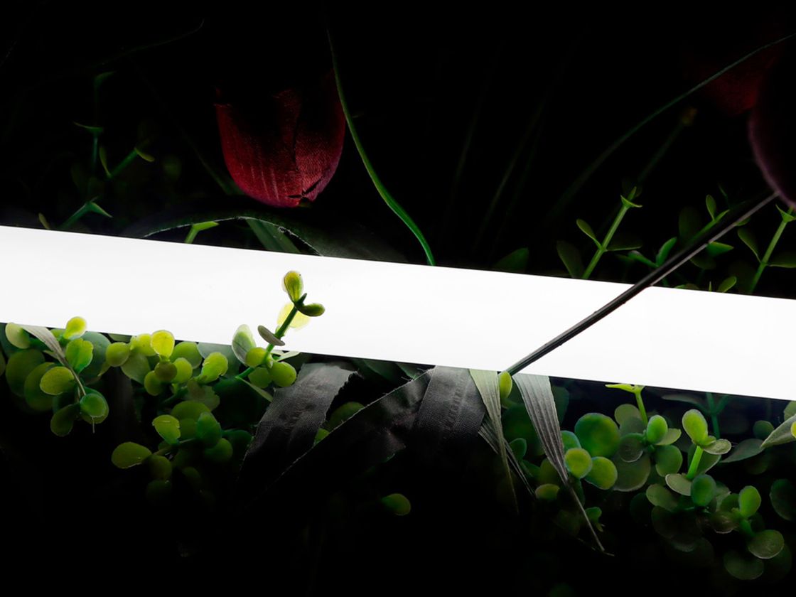 360 dərəcə neon lent, neytral ağ işıq saçması