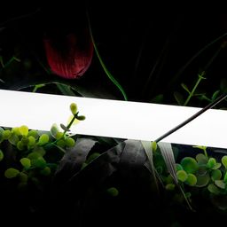 360 dərəcə neon lent, neytral ağ işıq saçması