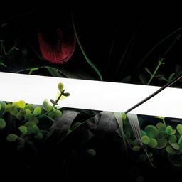İsti ağ neon lent 24V IP66 16W/m 360 LED/m SMD2835 360° D25 SWG-2360-24-WW-66
