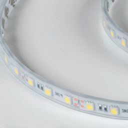 LED lent 5050, 60 LED/m, 14,4 Vt/m, 12V, IP66, Rəng: Ultra soyuq ağ, SWG560-12-14.4-UW-66-M