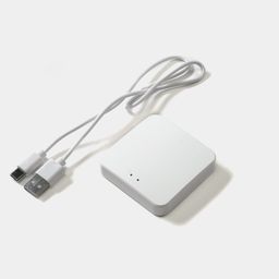 USB kabeli ilə ağ Tuya Zigbee şlüz