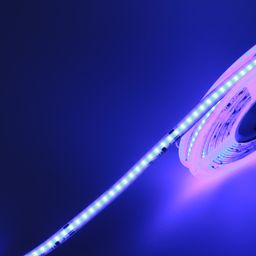 Makarada COB LED lent, mavi-bənövşəyi işıq saçması, yaxın plan