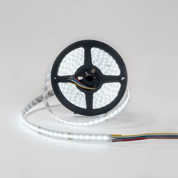 RGBWC COB LED lentin çarxı, ağ işıq