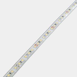 LED lent 9,6 Vt/m SMD2835 Qapalı (IP66) Soyuq, 24V, 3M, SWG2120-24-9.6-W-66-M
