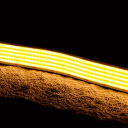 24V isti ağ COB LED lent