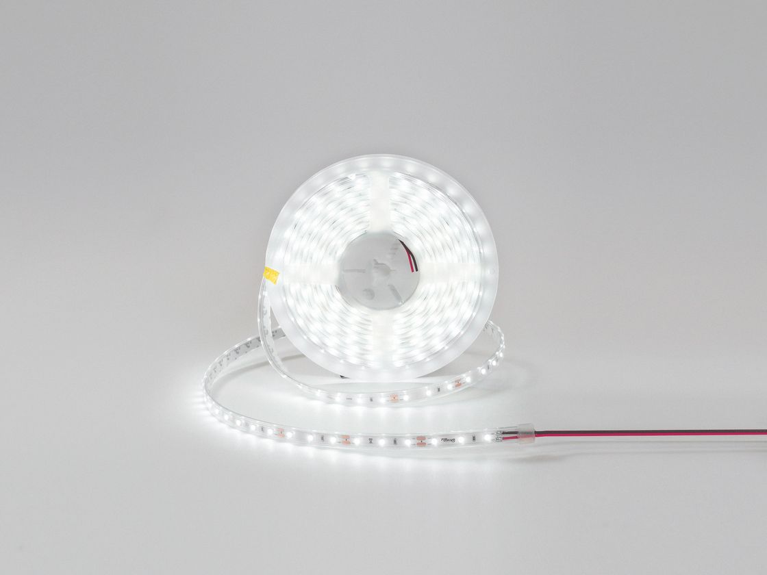 IP65 qoruma dərəcəli LED lent, bobində — soyuq ağ işıq