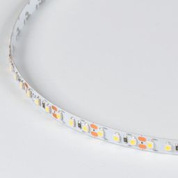 Soyuq ağ işıqlı LED lent IP33, DSG3120-12-W-33
