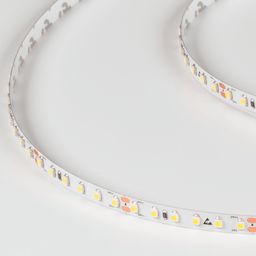 Soyuq ağ işıqlı LED lent IP33, DSG3120-24-W-33