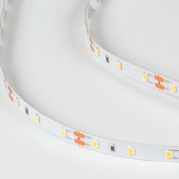LED lent LUX 12V neytral işıq, DSG260-12-NW-33