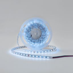 24 V RGB LED lentinin rulonu, soyuq tonlu işıq saçması