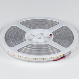 24 V IP65 LED lent rulonu