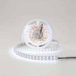 RGB+W LED lentinin rulonu, soyuq ağ işıq aktivdir