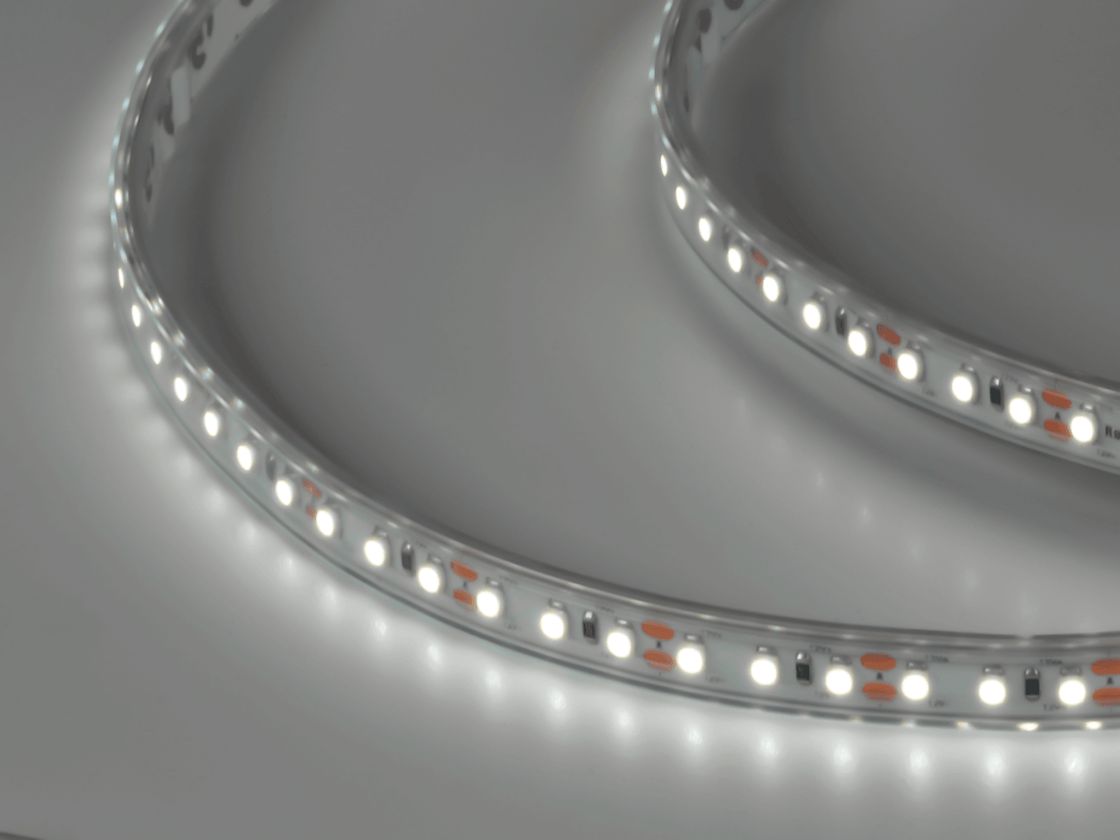 12V LED lent, soyuq ağ işıq, DSG3120-12-W-65