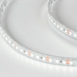 12V LED lent, soyuq ağ işıq, DSG3120-12-W-65