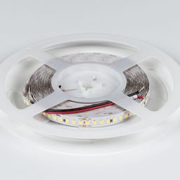 DesignLed LED lent rulonu, 5 metr, 24V
