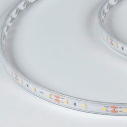 Neytral ağ işıqlı IP65 LED lent, DSG360-12-NW-65