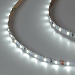 SWG PRO 2835 LED lent, 60 LED/m, 4,8 Vt/m, 24V, IP20, Rəng: Soyuq ağ, SWG2P60-24-4.8-W