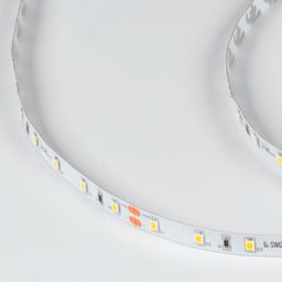 SWG PRO 2835 LED lent, 60 LED/m, 4,8 Vt/m, 24V, IP20, Rəng: Neytral ağ, SWG2P60-24-4.8-NW