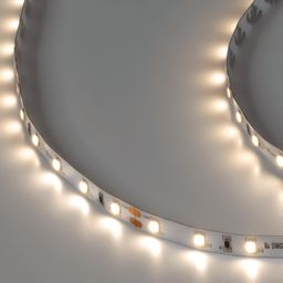 SWG PRO 2835 LED lent, 60 LED/m, 4,8 Vt/m, 24V, IP20, Rəng: Neytral ağ, SWG2P60-24-4.8-NW
