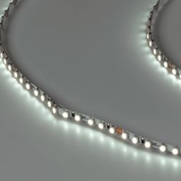 SWG PRO 3528 LED lent, 120 LED/m, 9,6 Vt/m, 24V, IP20, Rəng: Soyuq ağ, SWG3PT120-24-9.6-W