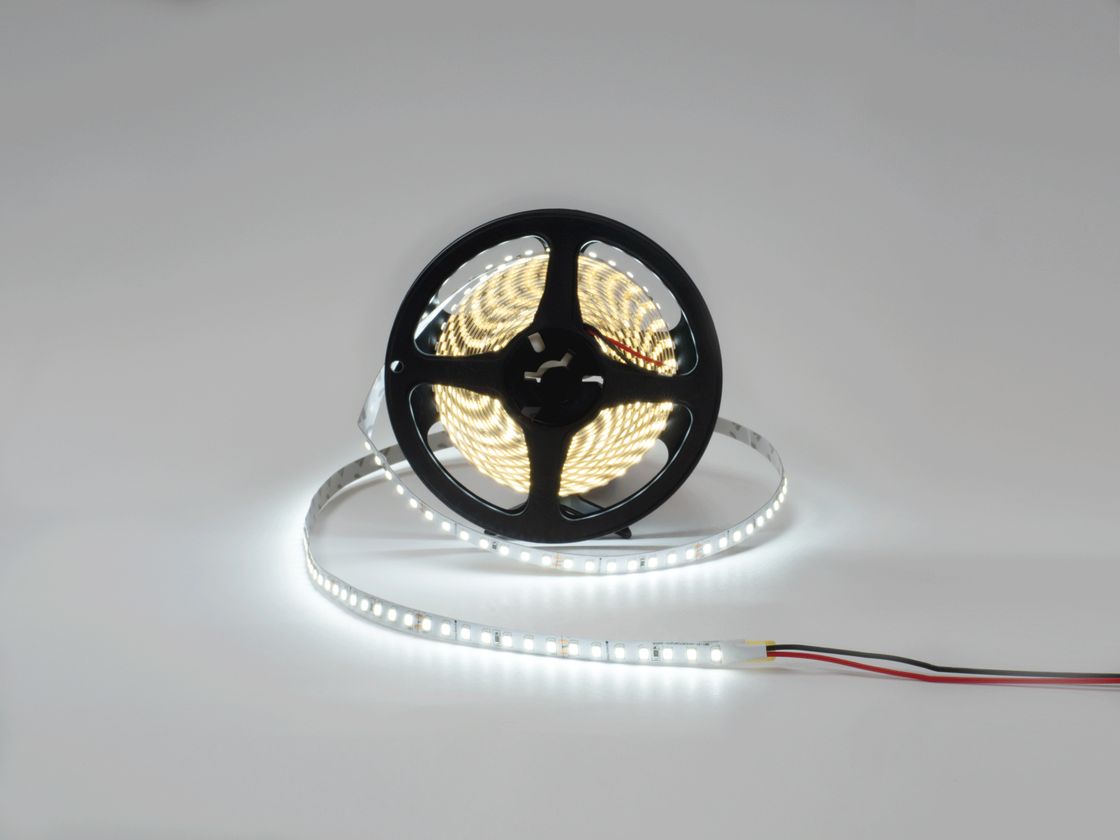 24V soyuq ağ işıqlı LED lentin rulonu