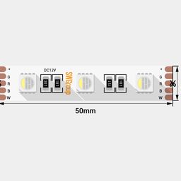 5050 RGB+W 12V LED lentinin sxemi, 50 mm addımla kəsim