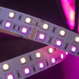 SMD5050 RGBW LED lentinin fraqmenti, LED-lər yaxın planda
